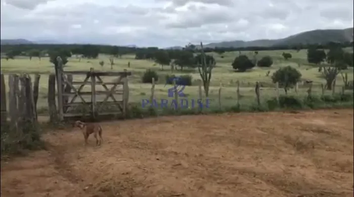 Fazenda, Centro, Itaberaba - R$ 3.7 mi, Cod: 68616