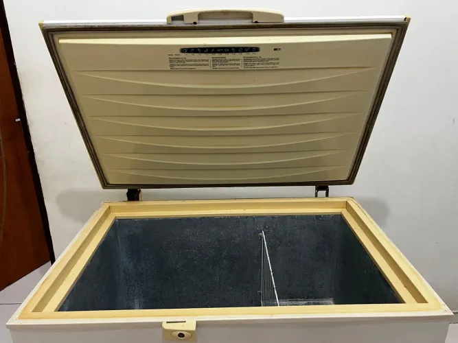 Freezer Electrolux 