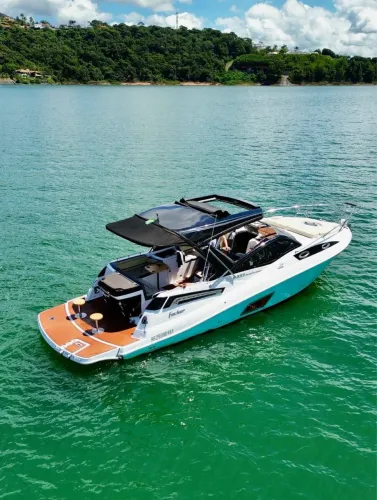Focker 333 Gran Turismo - 2023 x2 Mercruiser 250 HP ñ Phantom Ventura Fs Nx Real Triton