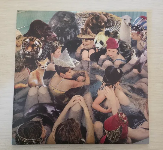 Vinil Duplo Panda Bear - Person Pitch
