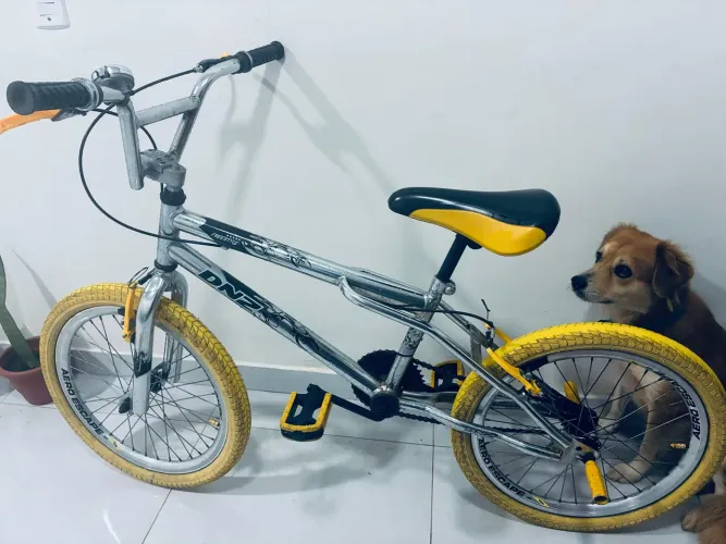 Bicicleta BMX aro 20 cromada (Ler anúncio)