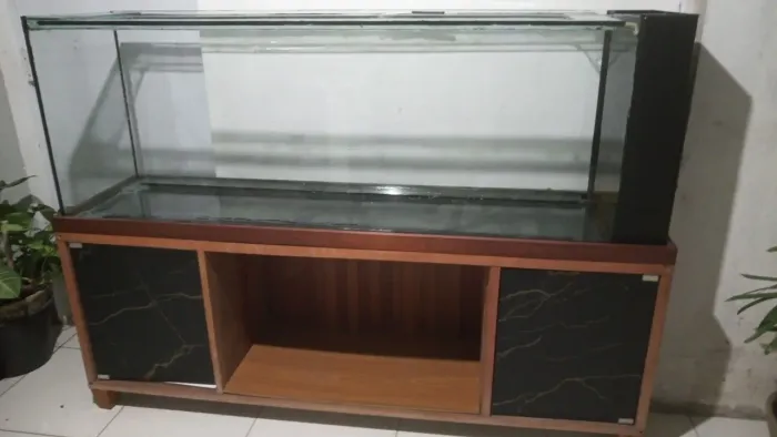 Aquario completo