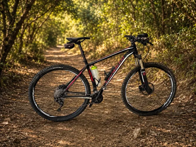 Bike specialized carve aro 29