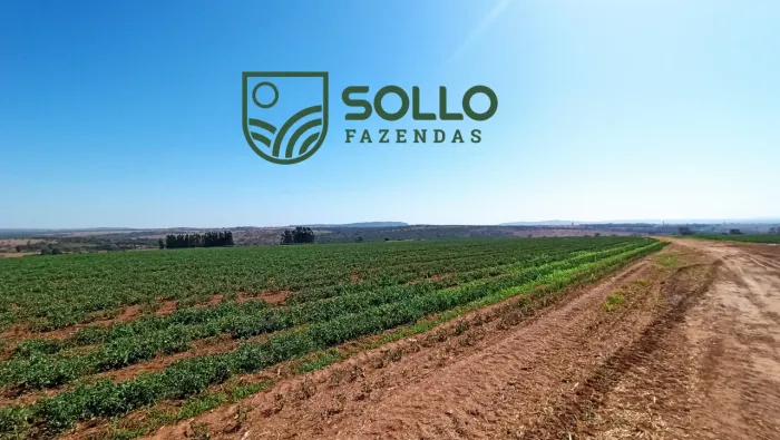 Fazenda com 30 alqueires, altamente produtiva (03 safras), plana, 02 pivôs, Hidrolândia-GO