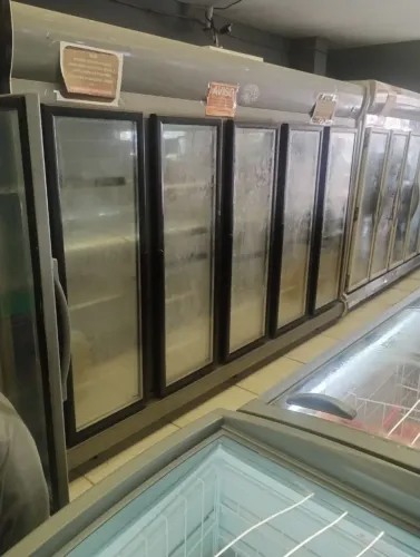 Expositor gelado
