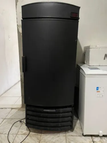 Freezer vertical 