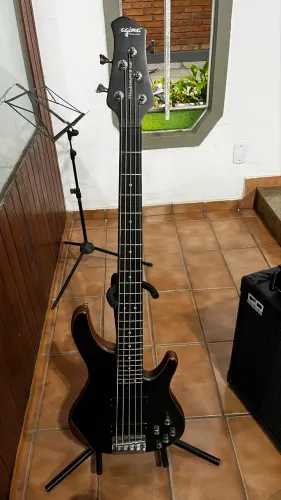 Baixo 5 cordas