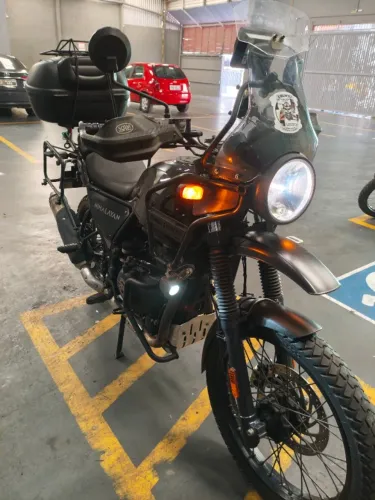 Himalayan