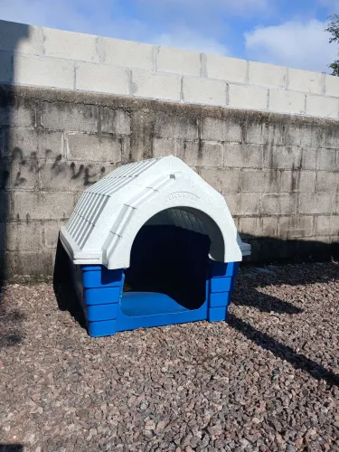 Casinha de cachorro 