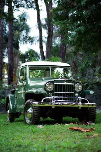 Willys Overland Jeep 2.6 12V Gasolina 2P 1954