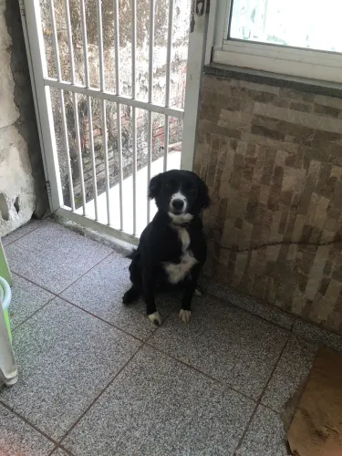 Doação 