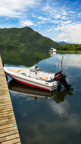 Lancha Shalom - Real Light 16 pés, motor Mercury 60hp 4t, 2001.