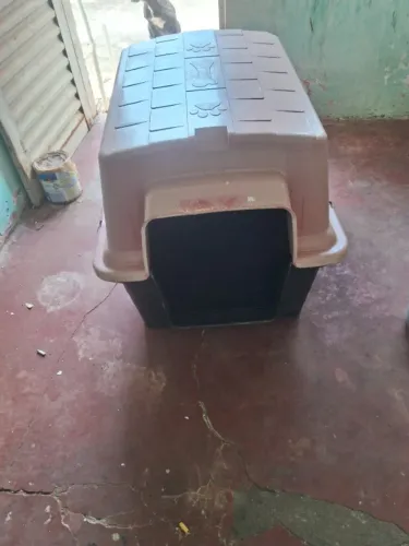 Casa de cachorro