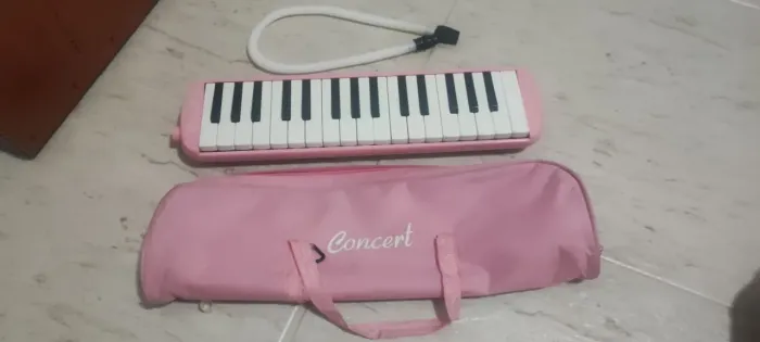 Escaleta Concert 32 Teclas Rosa Com Magueira E Bag De Transporte