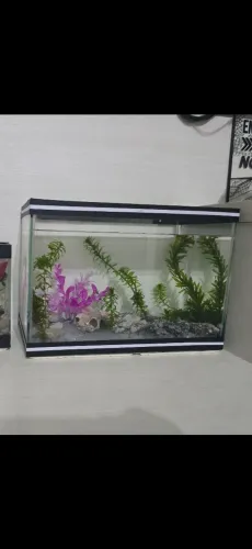 2 Aquários Grandes 10Litros!