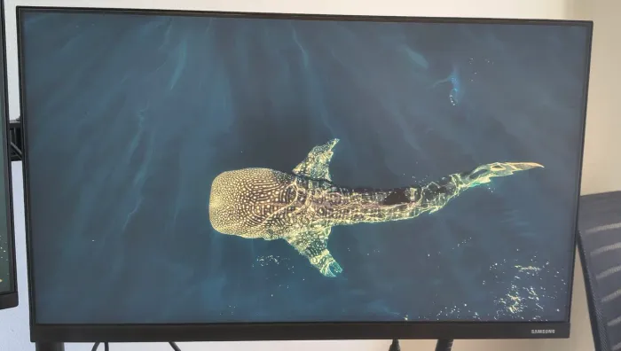monitor samsung 24" fhd 75hz t350 bivolt entrada 100-240 e saída 14v
