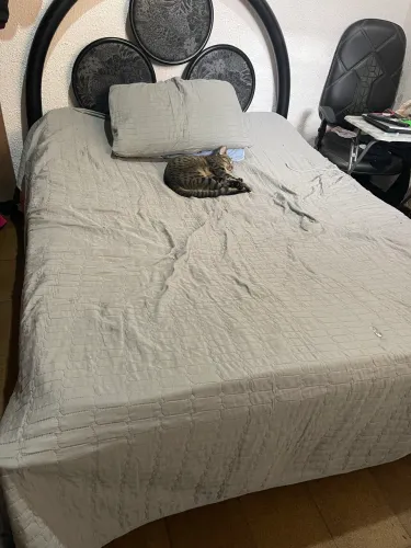 Cama de ferro semi nova