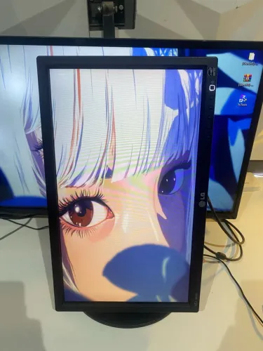 Monitor 19 PL