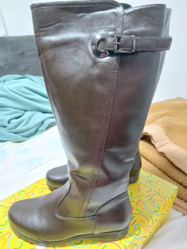 Bota nova 