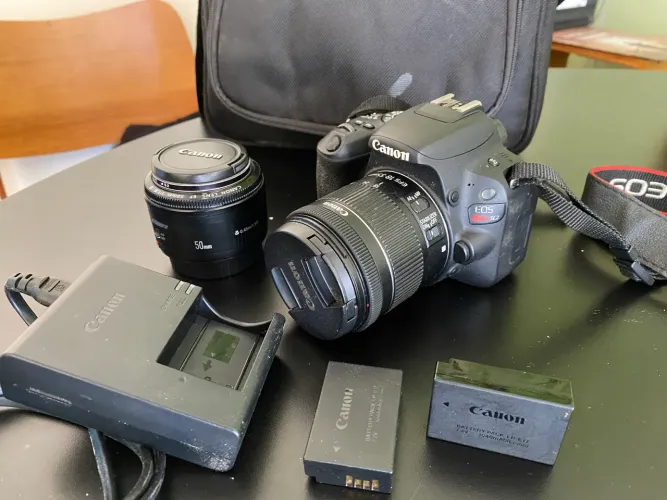 Canon SL2 + lente 18-55 + lente 50mm 1.8