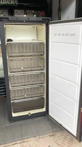 Freezer/Gealdeira Vertical 110w