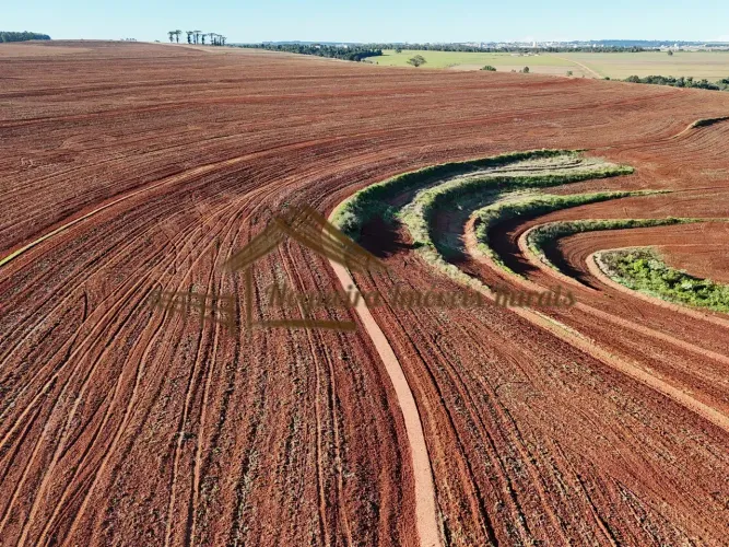 Fazenda com 100 alqueires em Avaré-SP