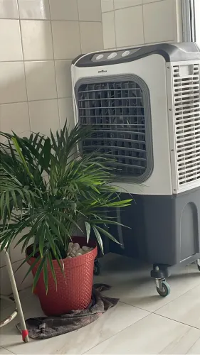 Climatizador Britânia
