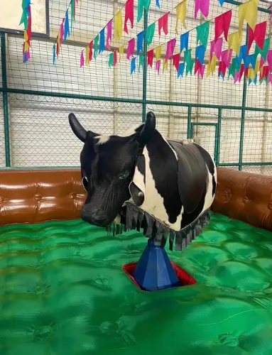 Touro mecânico o