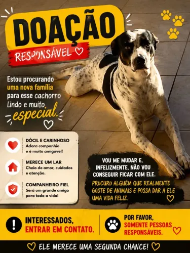 Doação responsável 