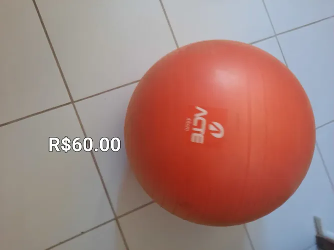 Bola Suíça Fisioterapia