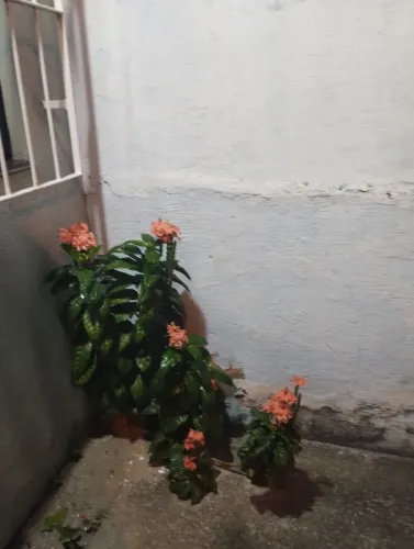 Vendo  salgados bolo caçarola pego encomendas de carne assada e caldos todo tipos de comid