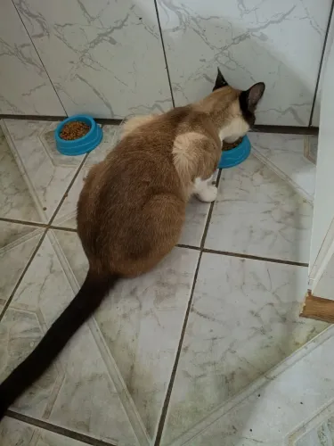 Doação