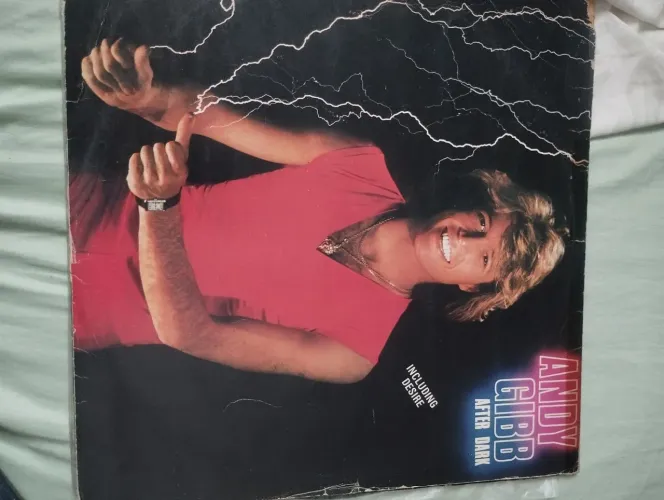 Vendo LP de ANDY GIBB