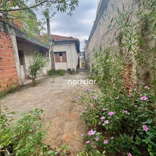 Terreno à venda, 355 m² por R$ 500.000,00 - Vila Cruz das Almas - São Paulo/SP