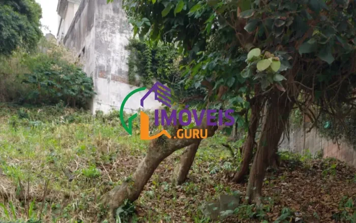 TERRENO - REAL PARQUE - SP