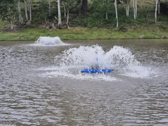 Aerador Aquamix B 601, 1,5 HP 4P 60Hz com cesto, cônico