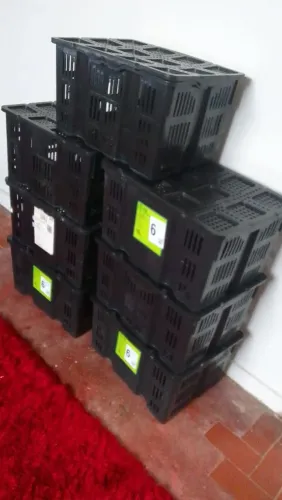 Vendo varias caixas organizadra com tampas