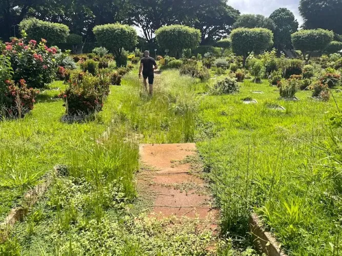 Vendo jazigo perpétuo no cemitério jardim da saudade