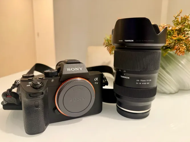 Sony a7 III + Tamron 28-75mm F/2.8 Di III G2