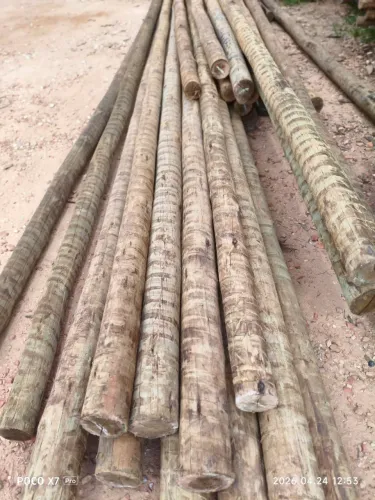 Eucalipto tratado roliço 10 a 12 com 6 MT 