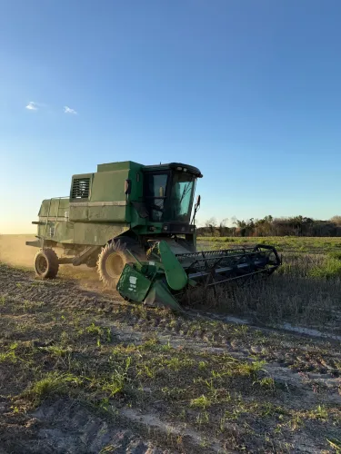 COLHEITADEIRA JOHN DEERE 1175 HIDRO