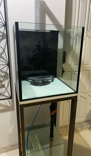 Aquário OPORTUNIDADE