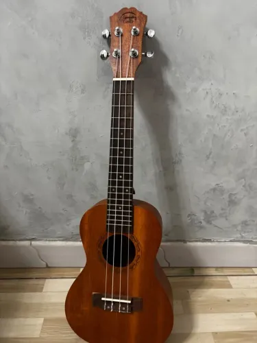 ? Ukulele em perfeito estado + Case e cordas extras