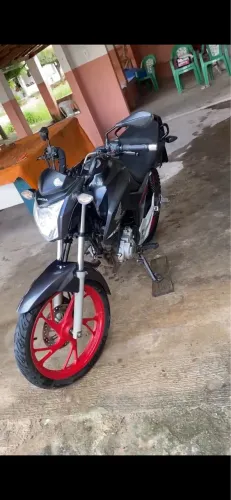 fan 2019