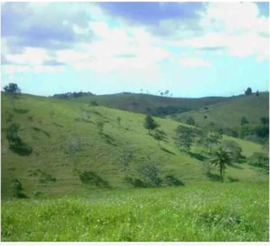 Fazenda linda Itanagra Bahia 473 Tarefas Oportunidade