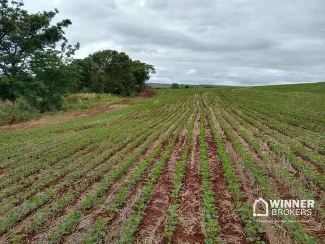 Chácara à venda, 42730 m² por R$ 1.000.000,00 - Ribeirao Aquidaba - Sarandi/PR