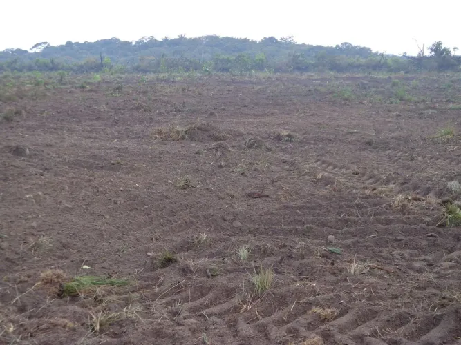 Fazenda arrendamento 2.600hect planta, em nova canaã do norte MT R$:10 sacas p/hect