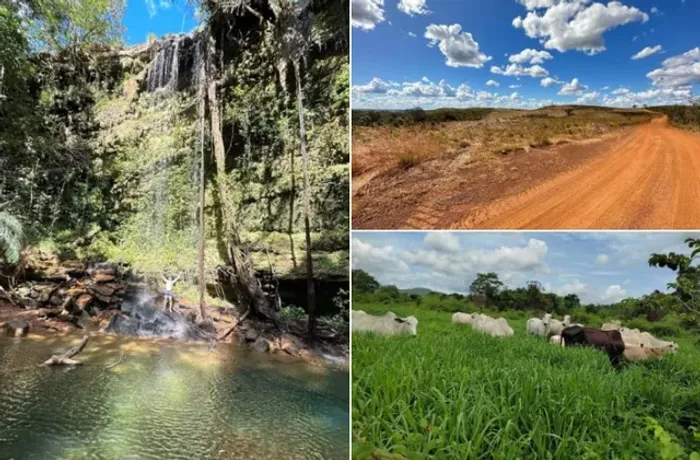 Fazenda a Venda 50 Alqueires Sítio Roça Desconto Super Barato Venda Urgente