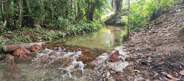 Oferta terreno em Belterra com igarapé privado 
