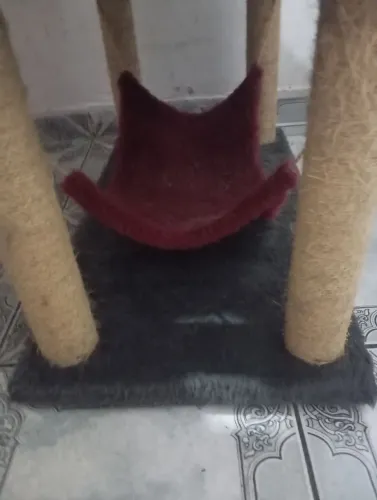 Casinha de gatos com rede e arranhador